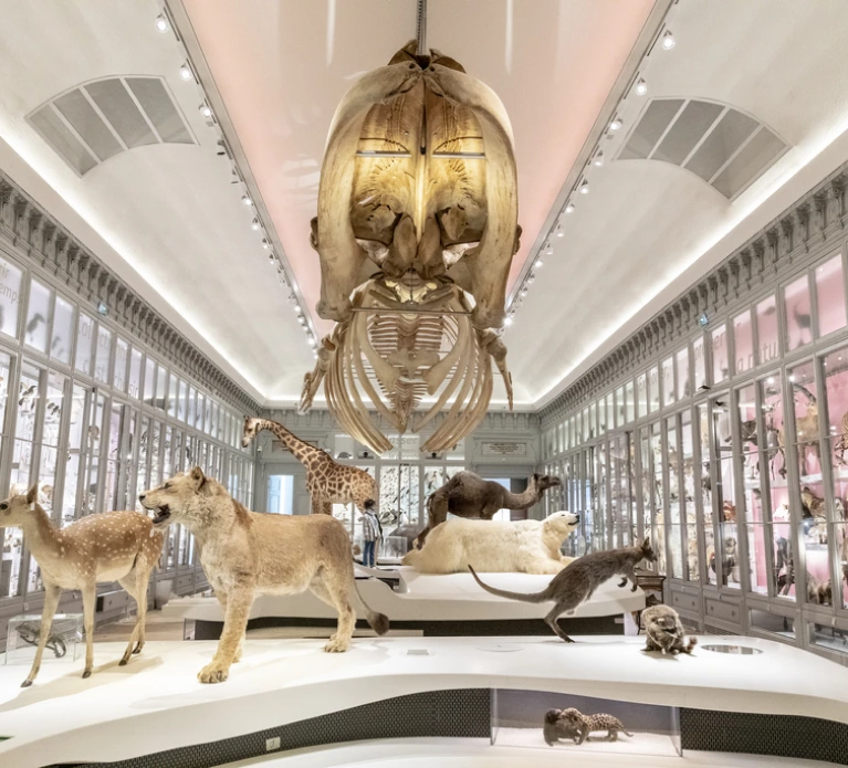 Expositions du musée
